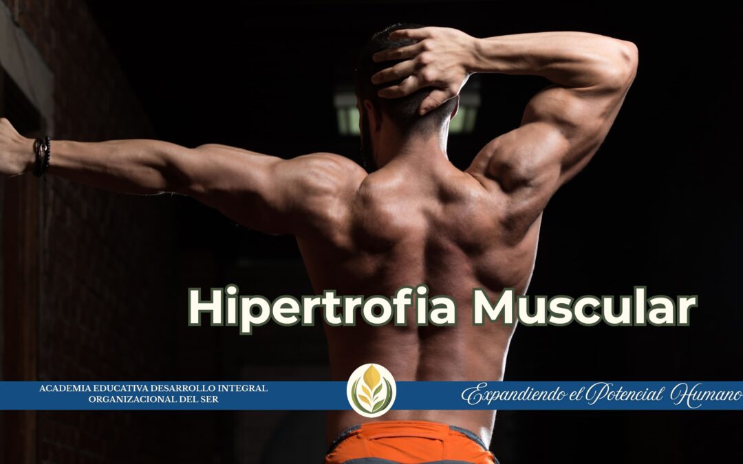 Taller: Hipertrofia Muscular (Ciencia y Aplicación)