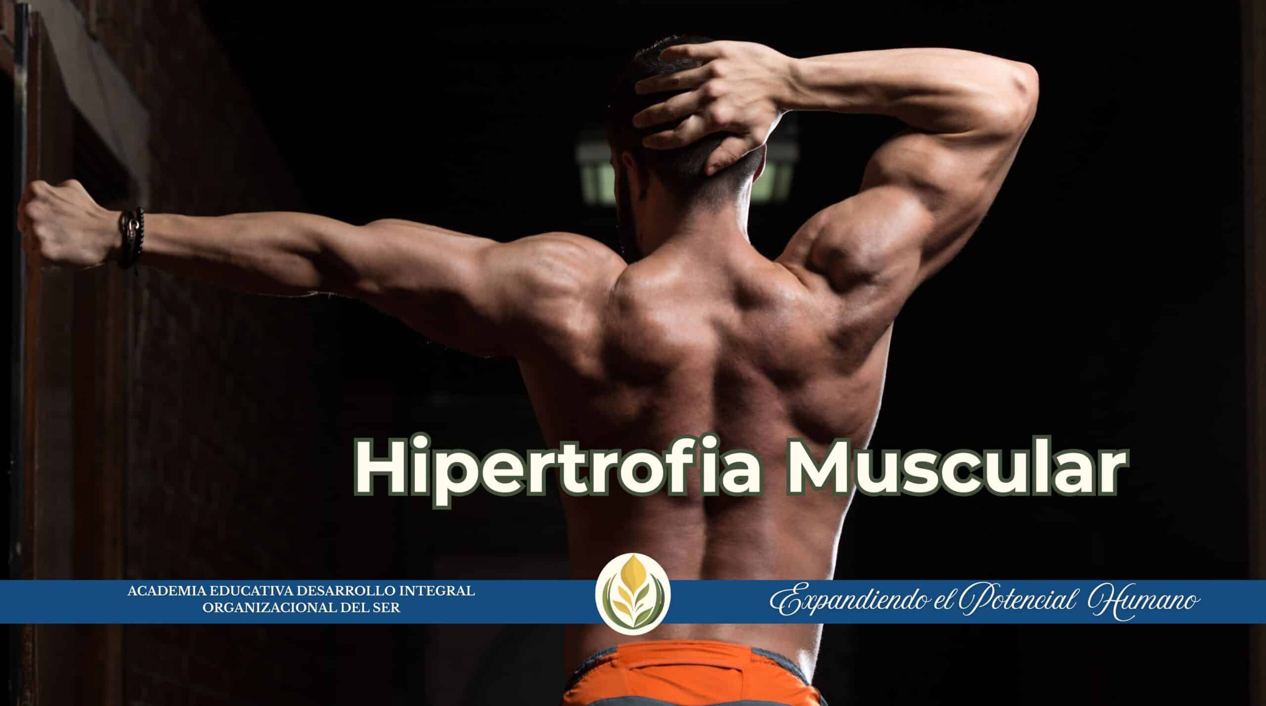 taller-Hipertrofia-muscular