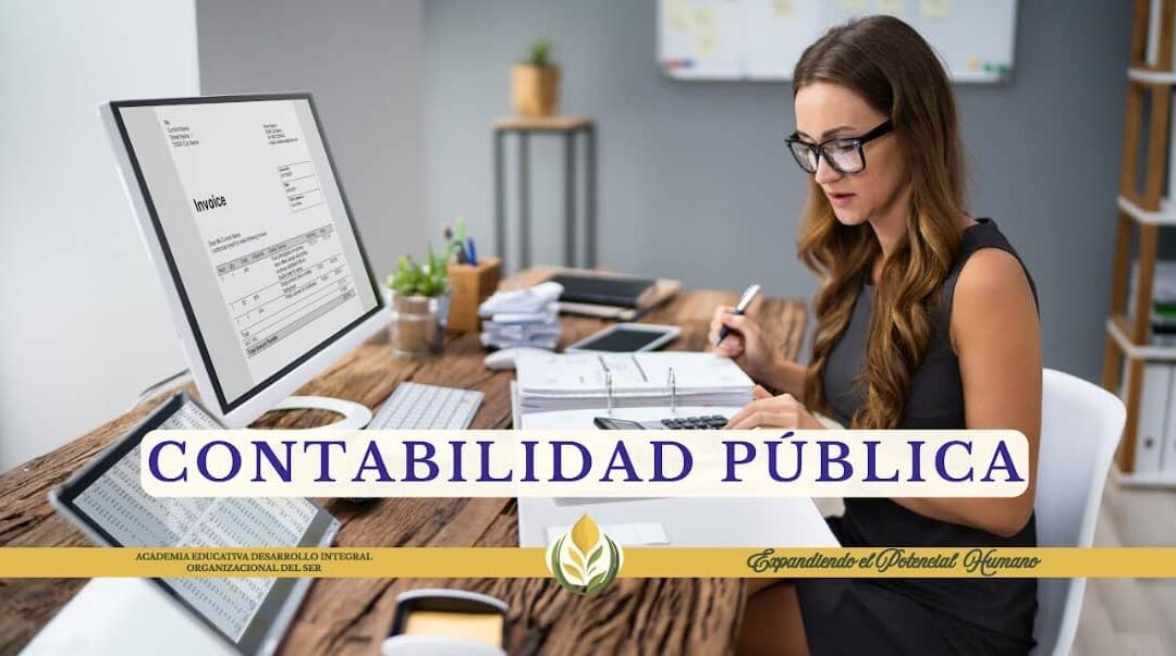 Curso de Contabilidad PĆŗblica