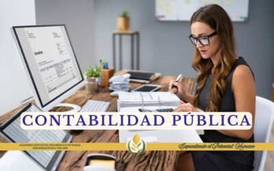 Curso de Contabilidad Pública